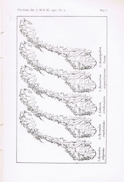 Studies on the Lichen flora of Norway. By (...). With 13 maps and 5 figures in the text. Appendix, Kristian Nissen, Lapponian Lichen Names. (photo 2)