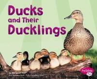 Ducks and Their Ducklings (Animal Offspring)