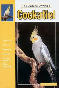 Guide to Owning a Cockatiel