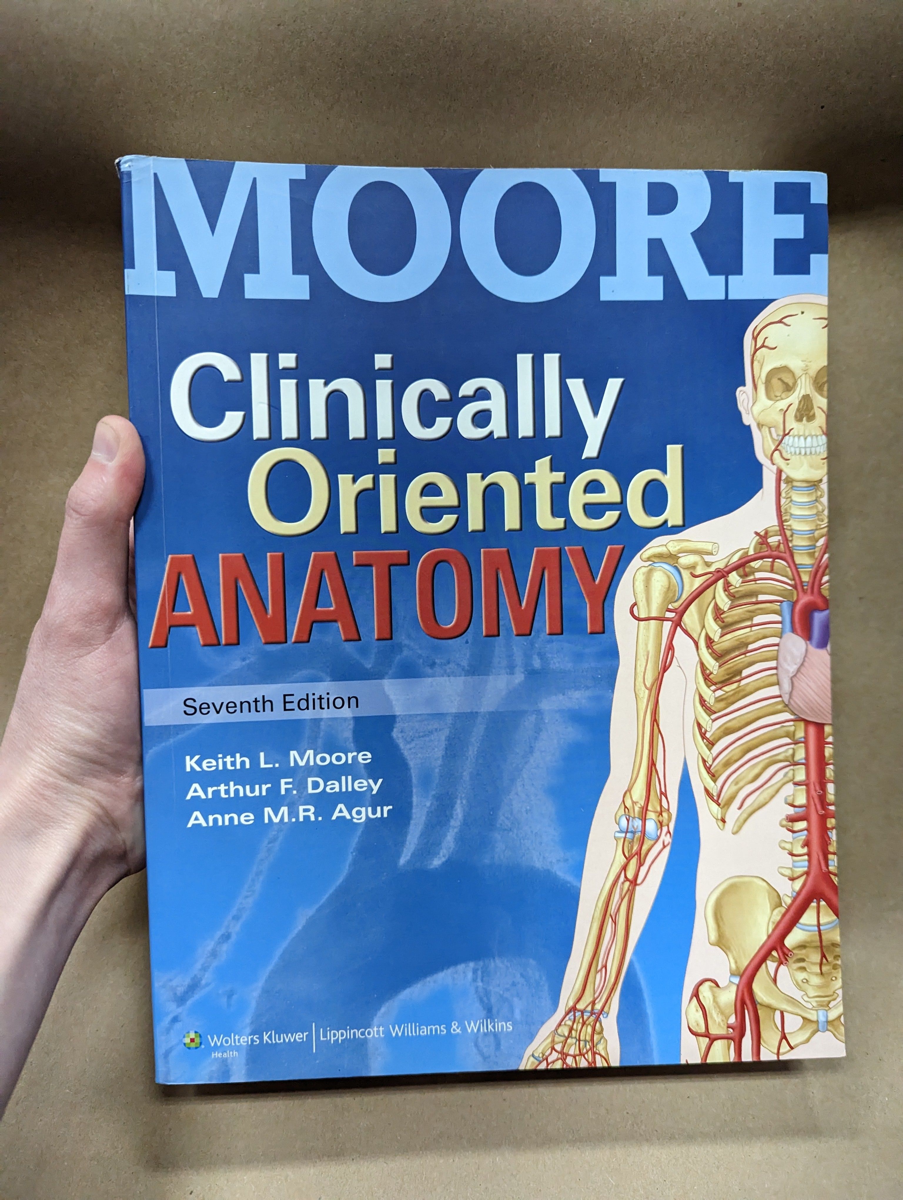 Clinically Oriented Anatomy (7th Edition) by Keith L. Moore 