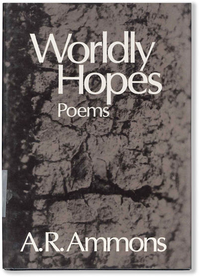 WORLDLY HOPES
