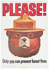 Smokey Bear Collection [Posters,...; (photo 0)