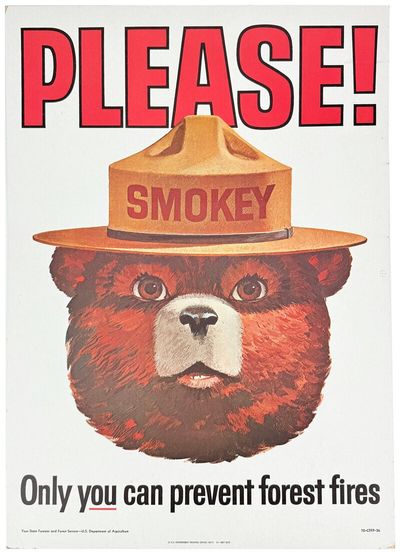 Smokey Bear Collection [Posters,...