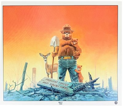 Smokey Bear Collection [Posters,...; (photo 1)
