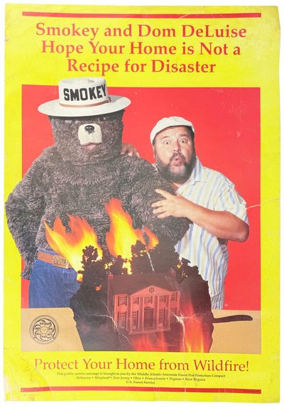 Smokey Bear Collection [Posters,...; (photo 2)