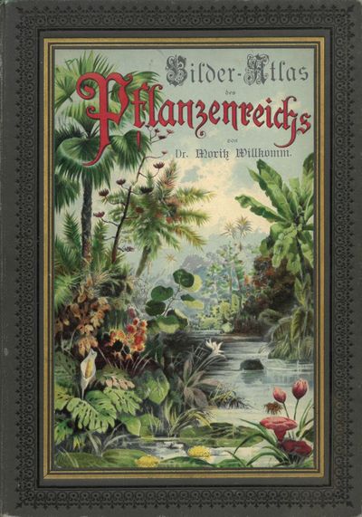 Bilder-Atlas des Pflanzenreichs nach dem…