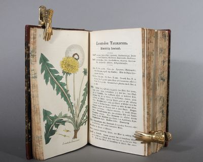 Herbarium pharmaceuticum eller Afbildninger til Professorernes Herholdts og Schumachers Fortegnelse over de officielle Lægemidler af Planteriget, som voxe vildt, eller kunne dyrkes i de danske Stater. (photo 2)