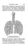 The Physiology of Common Life