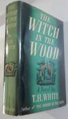 The Witch in the Wood