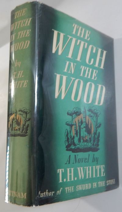 The Witch in the Wood