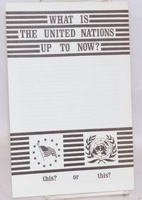 image of What is the United Nations up to now