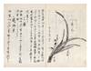 Illustrated manuscript on paper, entitled on upper wrapper “Ha mono shū” 葉物集 [“Flower Arrangements, Gathered Information”]