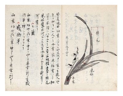 Illustrated manuscript on paper, entitled on upper wrapper “Ha mono shū” 葉物集 [“Flower Arrangements, Gathered Information”]
