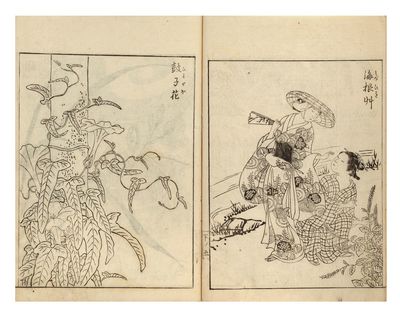Ehon Kusa Nishiki 繪本草錦 [The Picture-Book of Brocade Plants]
