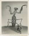 The Deadly Mantis (Original photograph from the 1957 film)