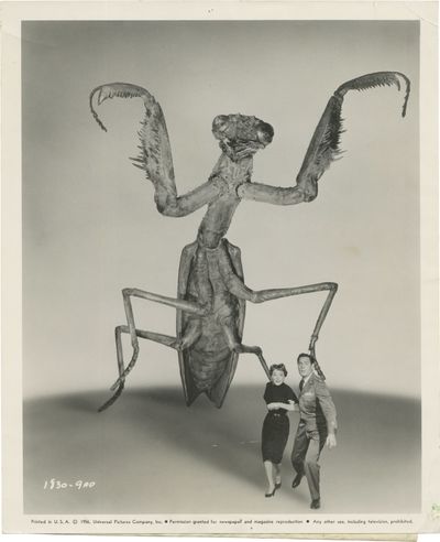 The Deadly Mantis (Original photograph from the 1957 film)