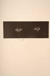 View Image 16 of 20 for Frankenstein; or, The Modern Prometheus… Inventory #06168