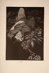 View Image 19 of 20 for Frankenstein; or, The Modern Prometheus… Inventory #06168