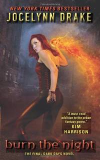 Burn the Night: The Final Dark Days Novel: 6 (Dark Days Series, 6)