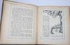 View Image 13 of 16 for Le Bon Roi Ortolan Inventory #20213