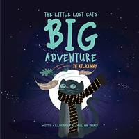The Little Lost Cat's Big Adventure in Kilkenny: 2017