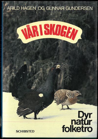 Vår i skogen.
