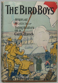 image of The Bird Boys' Aeroplane Wonder or Young Aviators on a Cattle Ranch