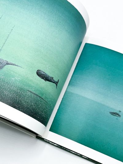 AN OCEAN WORLD