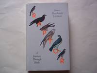 Raptor: A Journey Through Birds