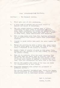 From Littermorphology Manifesto. Section 3: The Monument shelter