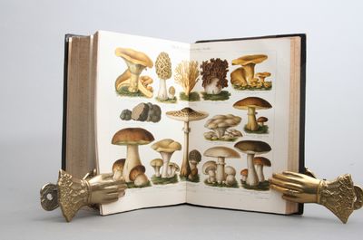 Meyers Konversations-Lexikon. 5. Auflage. Neuer Abdruck. 21 volumes. (photo 3)