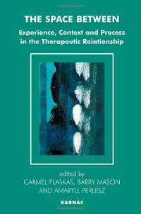 The Space Between: Experience, Context, and Process in the Therapeutic Relationship (The Systemic...