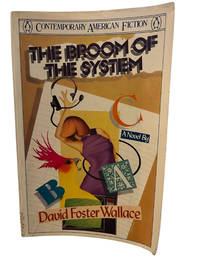 The Broom of the System