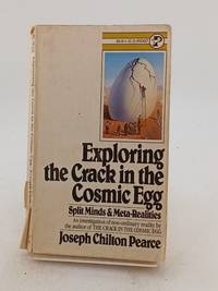 Exploring the Crack in the Cosmic Egg: Split Minds & Meta-Realities