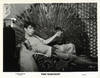 PINK NARCISSUS (1971, 1989) Photo archive