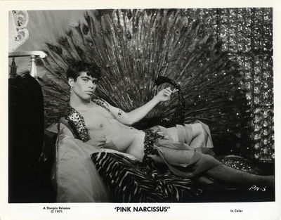 PINK NARCISSUS (1971, 1989) Photo archive
