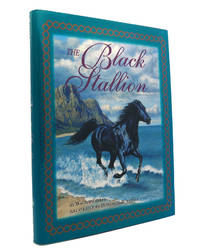 image of THE BLACK STALLION