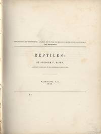 image of Reptiles