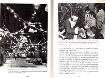Vår norske jul. (photo 3)