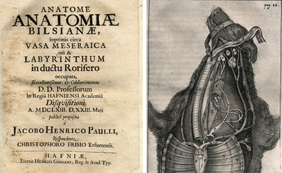 Anatome anatomiæ Bilsianæ, inprimis circa vasa…