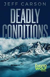 image of Deadly Conditions: 4 (David Wolf Mystery Thriller Series)