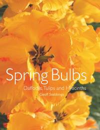 Spring Bulbs: Daffodils, Tulips and Hyacinths