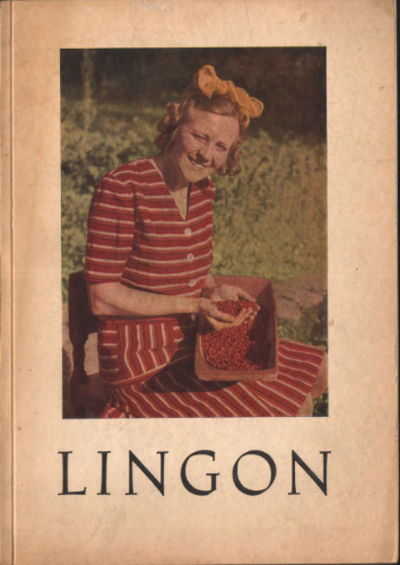 LINGON.