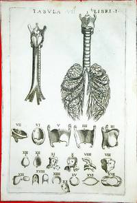 Anatomia del corpo humano nuovamente ristampata e con l