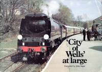 'City of Wells' at Large