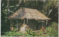 The Waioli Tea Room, Manoa Valley, Honolulu, Hawaii, unused Postcard