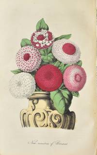 [BOTANICAL PLATES] THE FLORICULTURAL CABINET, AND FLORISTS' MAGAZINE. JANUARY TO DECEMBER 1850 [WITH] JANUARY TO DECEMBER 1851. WITH 25 PLATES