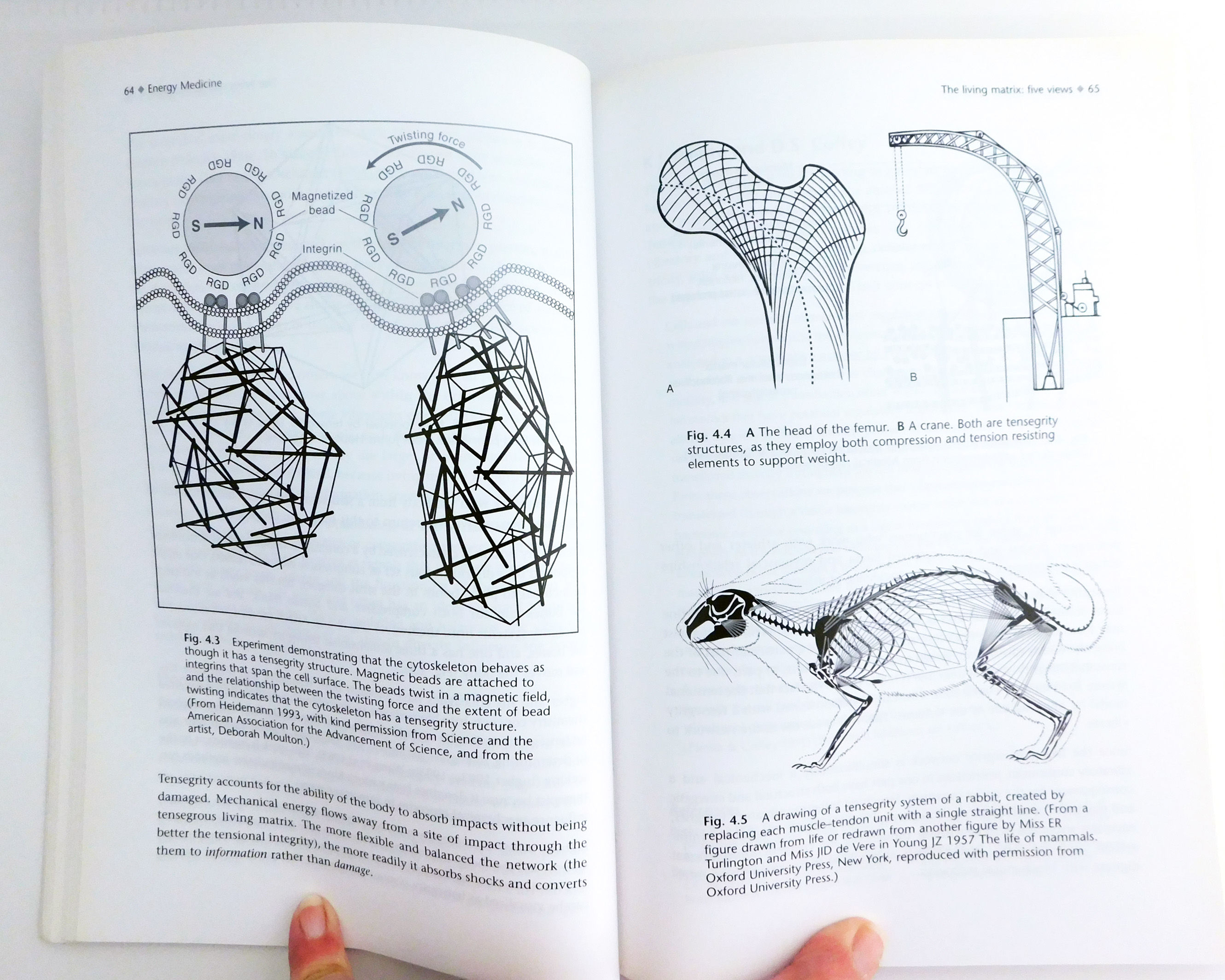 Energy Medicine by James L. Oschman Paperback first 2000 from