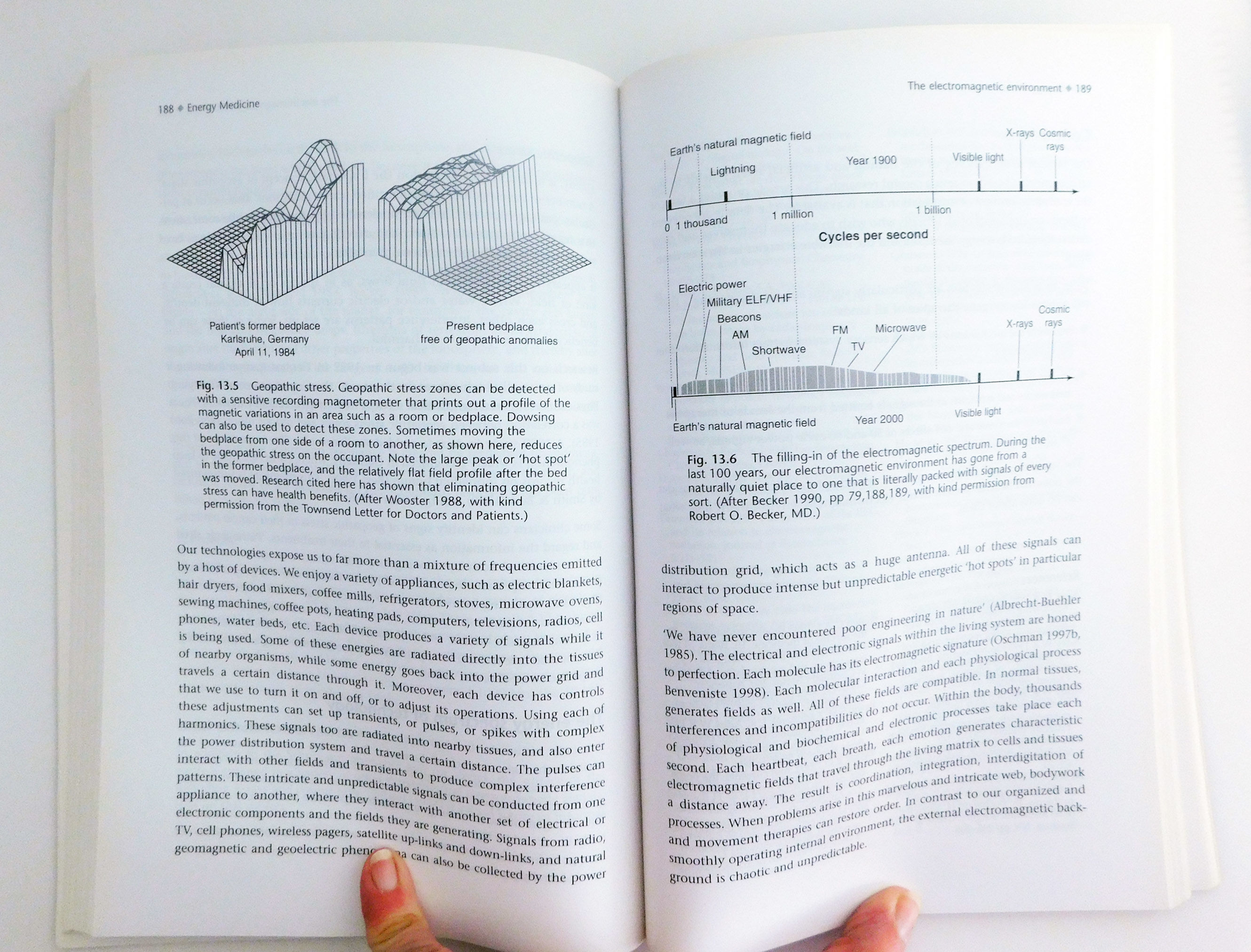 Energy Medicine by James L. Oschman Paperback first 2000 from