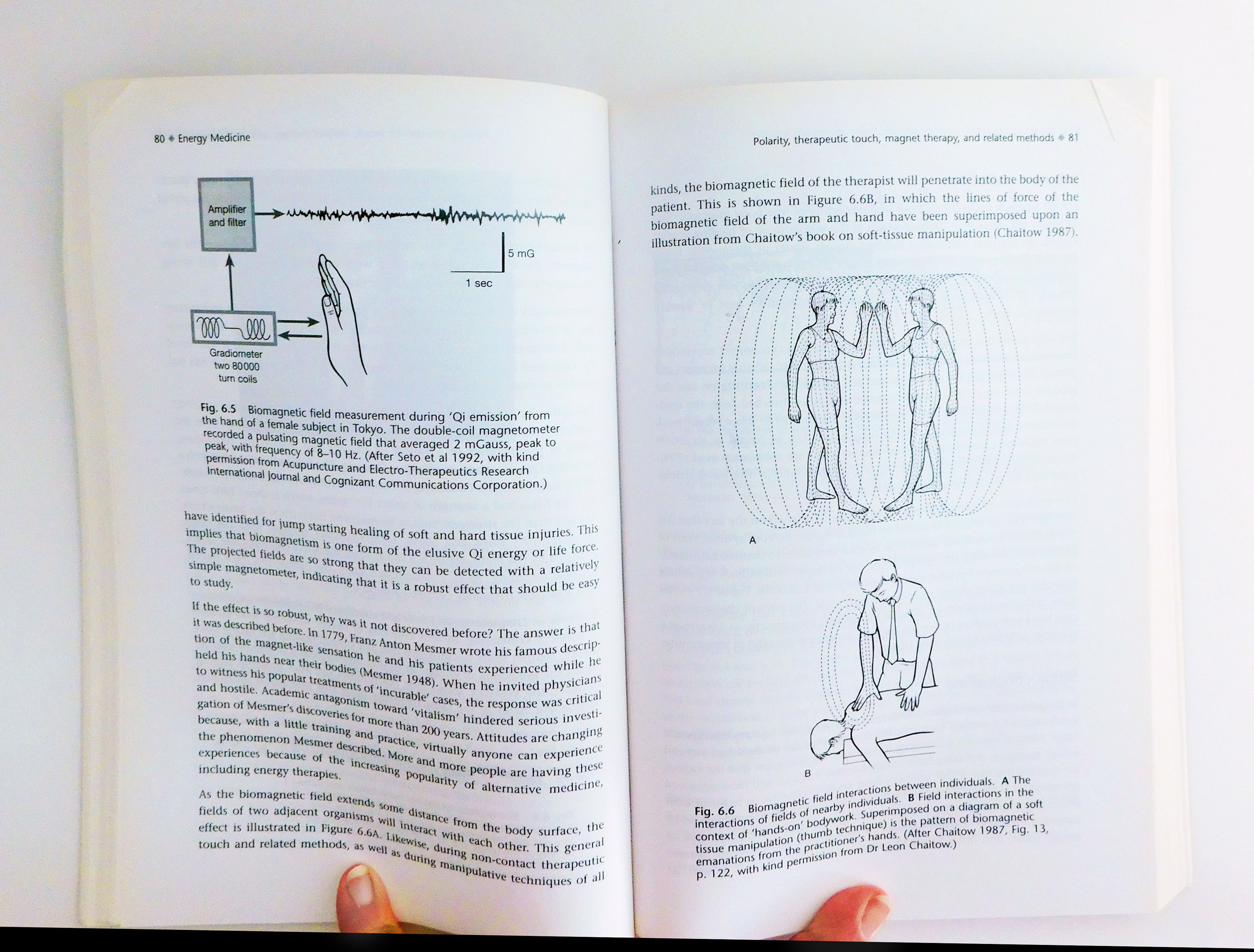 Energy Medicine by James L. Oschman Paperback first 2000 from